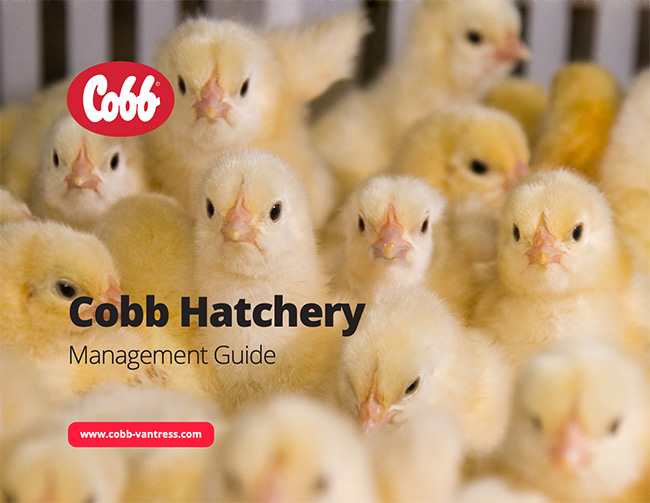 Cobb Hatchery Management Guide Cover